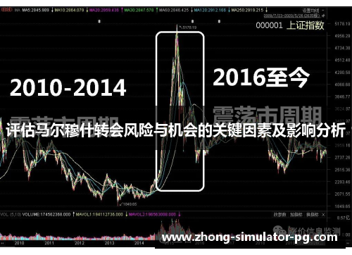 评估马尔穆什转会风险与机会的关键因素及影响分析