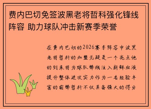 费内巴切免签波黑老将哲科强化锋线阵容 助力球队冲击新赛季荣誉